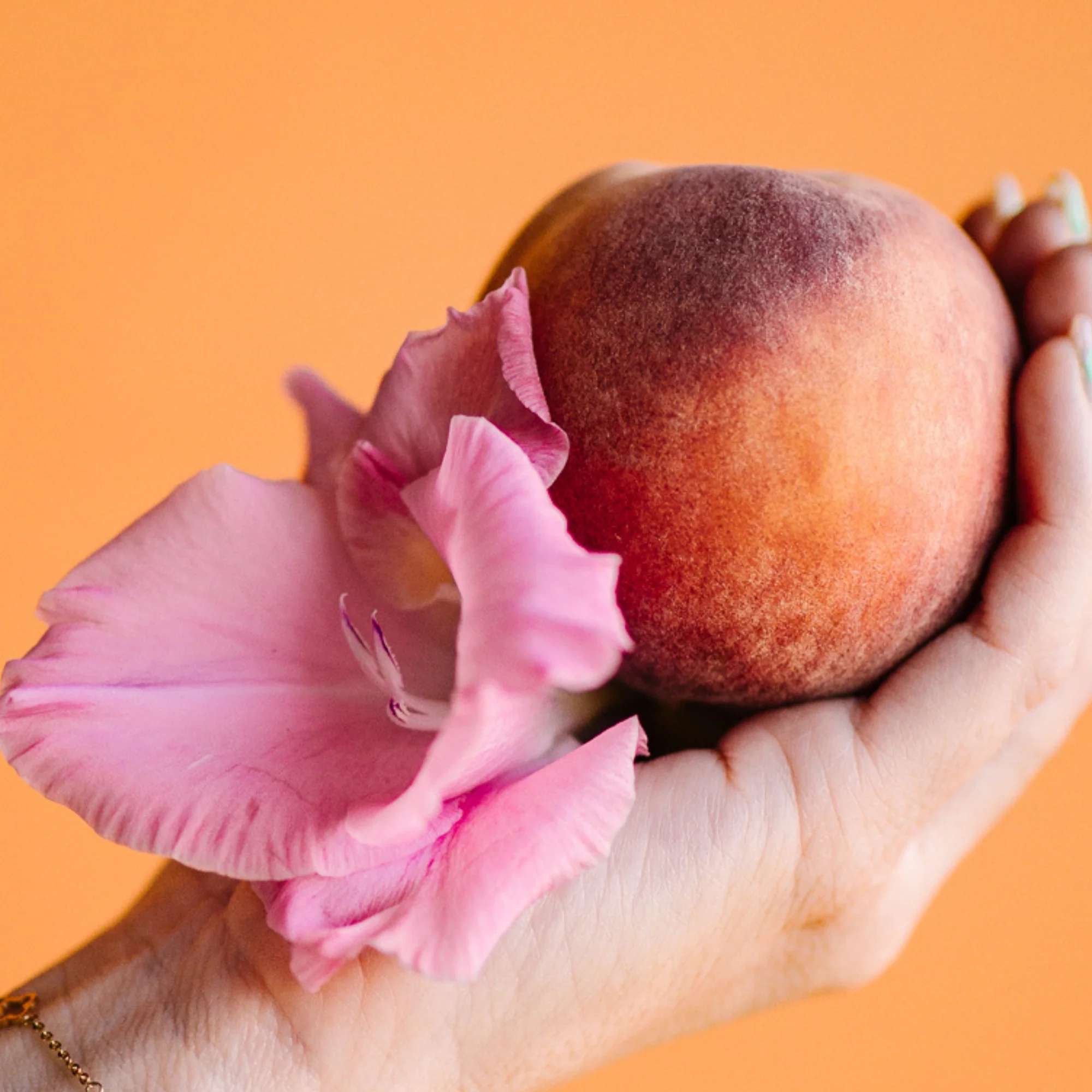 LIMITED Peach Hibiscus Body Butter Bar - Image 2