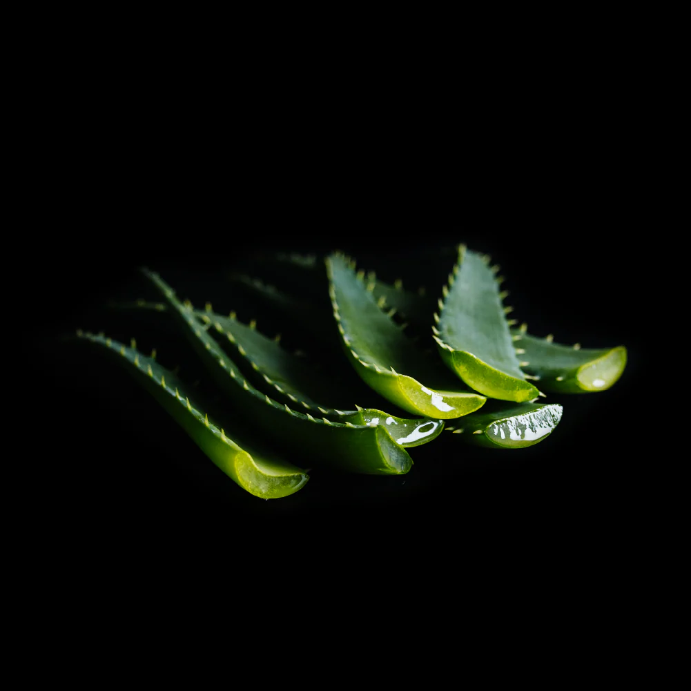 Body Wash Bar with Hydrating Aloe Vera - Image 4